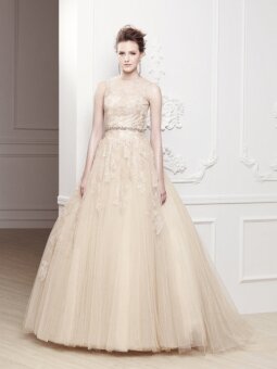 Princess Scoop Tulle Satin Floor-length Champagne Lace Wedding Dresses
